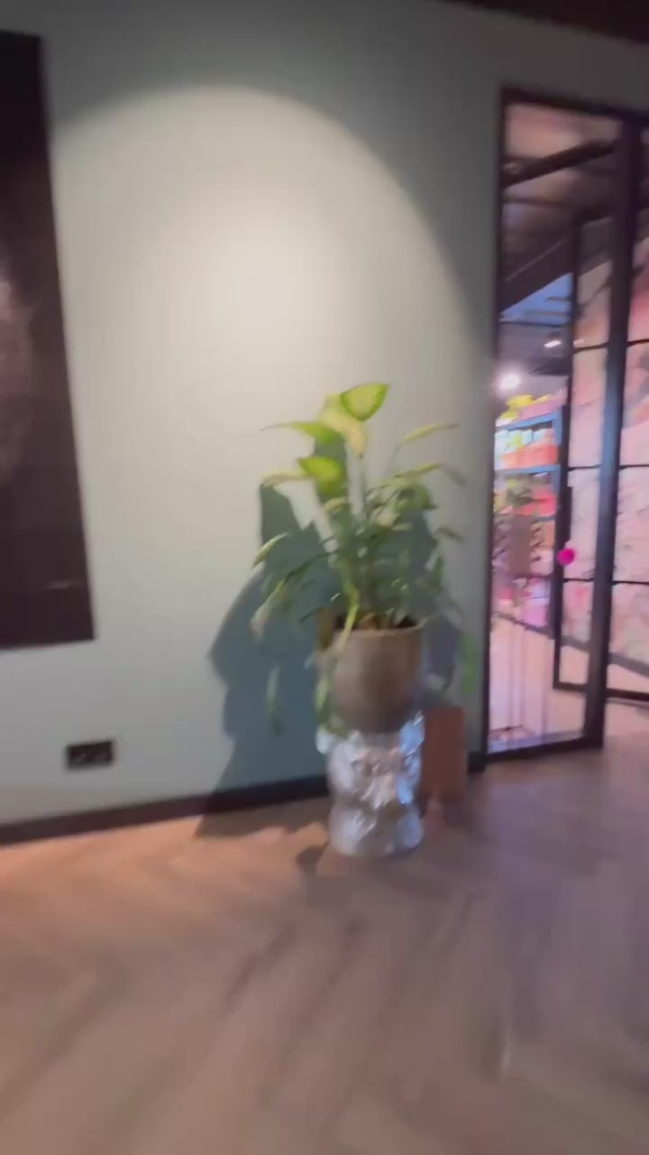 Indlæs video: 